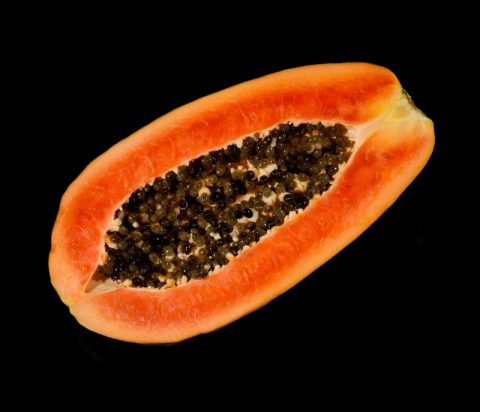 Papaya